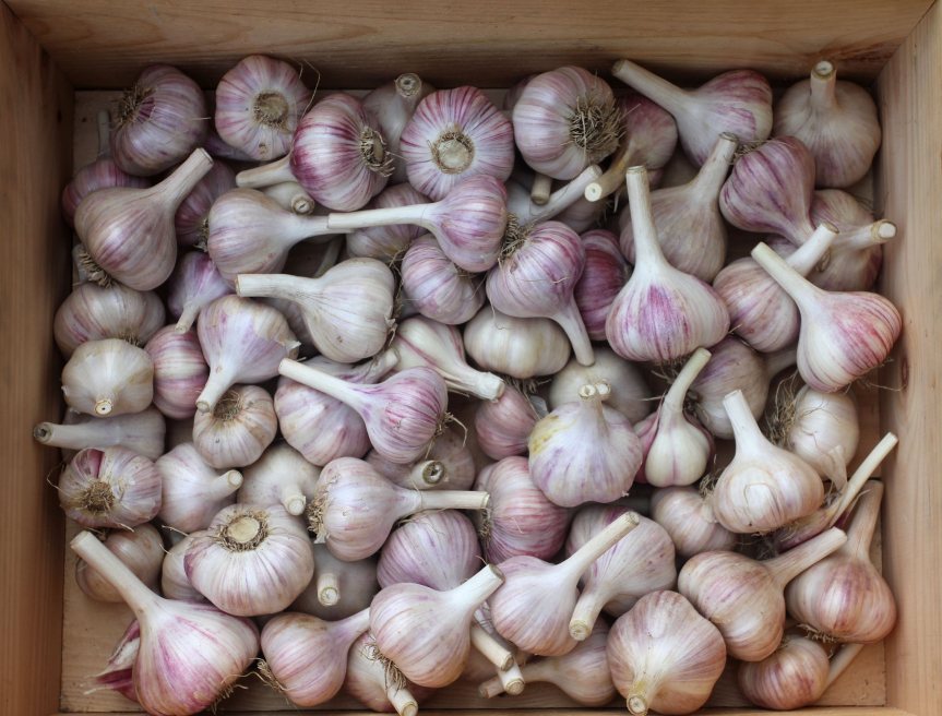 Spring is Coming Lets Plan Our&nbsp;Gardens