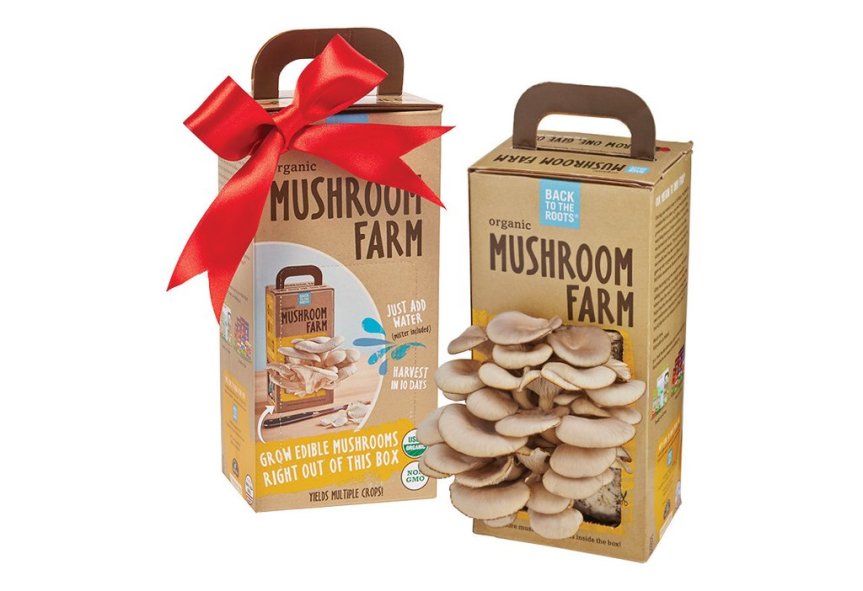 holidaysets27_1024x1024