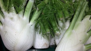 fennel-1614693_1920 (Pixaby by Peter-facebook)